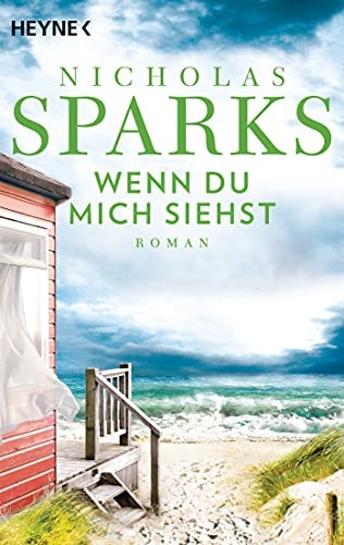 Wenn du mich siehst Roman