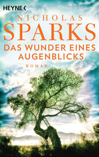 Das Wunder eines Augenblicks Roman