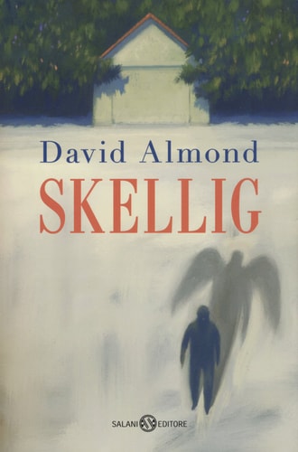 Skellig romanzo