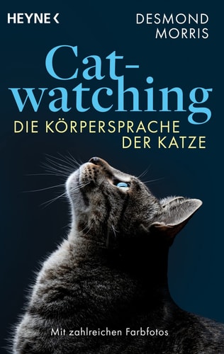 Catwatching die Körpersprache der Katze