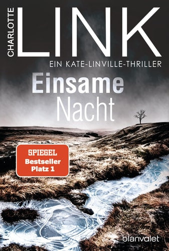 Einsame Nacht Kriminalroman