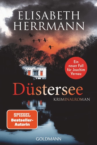 Düstersee Kriminalroman