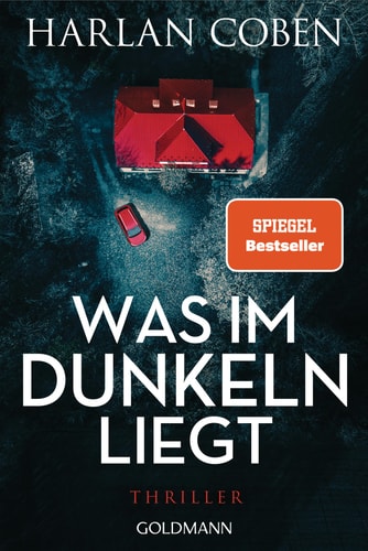 Was im Dunkeln liegt Wilde ermittelt 2 - Thriller