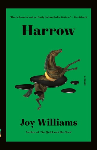 Harrow A novel (Kirkus Prize)