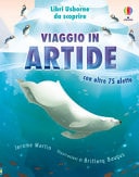 Viaggio in Artide