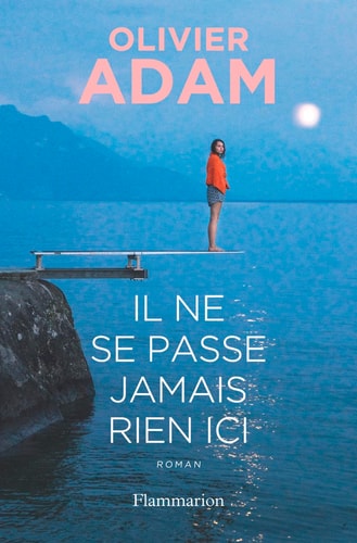 Il ne se passe jamais rien ici roman