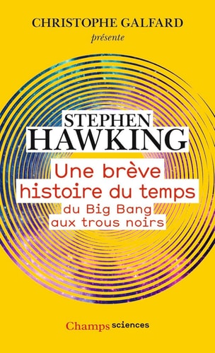 Une brève histoire du temps Du Big Bang aux trous noirs