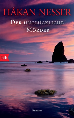 Der unglückliche Mörder Roman