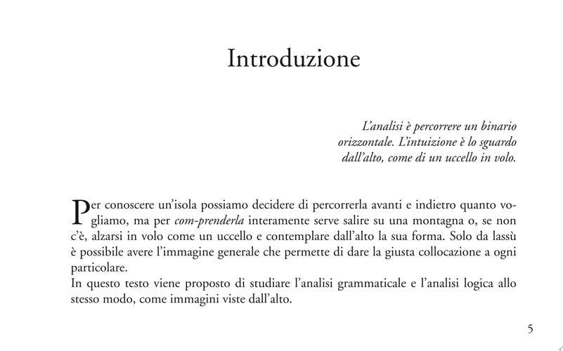 Analisi grammaticale e logica al volo. Strumenti per l'apprendimento intuitivo con il metodo analogico