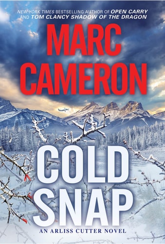 Cold Snap An Action Packed Novel of Suspense