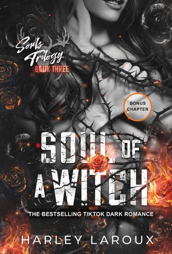Soul of a Witch A Spicy Dark Demon Romance