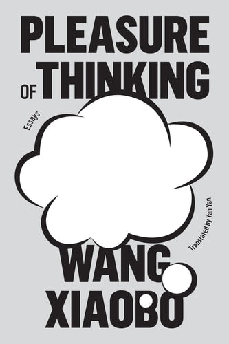 Pleasure of Thinking Essays