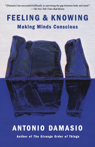 Feeling & Knowing Making Minds Conscious