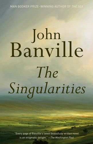 The Singularities A novel