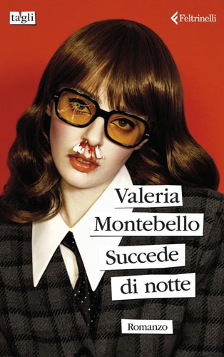 Succede di notte romanzo