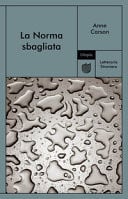 La Norma sbagliata