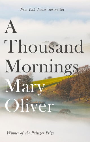 A thousand mornings