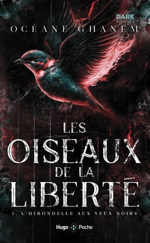 Les oiseaux de la liberté tome 1 - poche: L'Hirondelle aux yeux noirs
