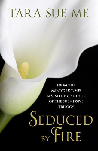 Seduced by Fire: a Partners in Play Novel