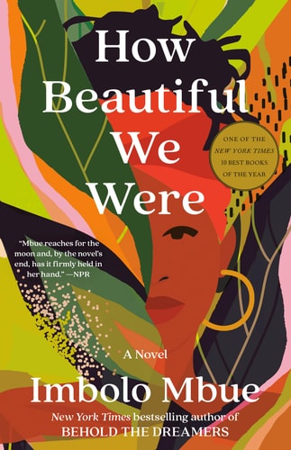 How Beautiful We Were A Novel