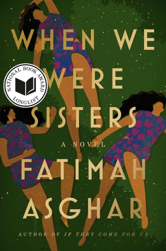 When We Were Sisters A Novel