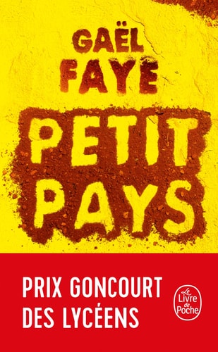 Petit pays roman