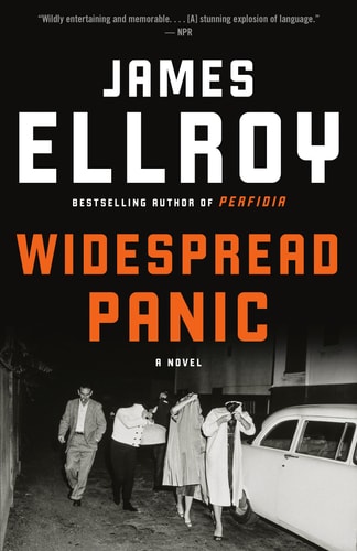 Widespread Panic A novel
