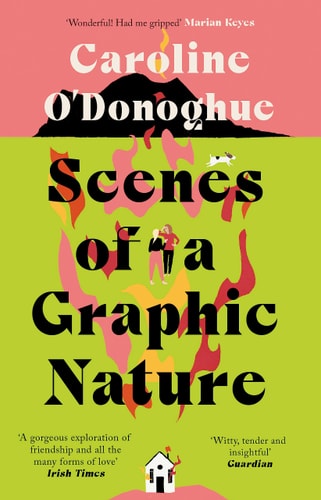 Scenes of a Graphic Nature 'a Perfect Page-Turner' (Dolly Alderton) from the Bestselling Author of the Rachel Incident