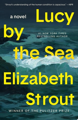 Lucy by the Sea A Novel