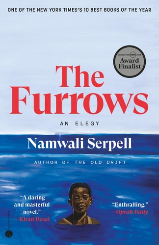The Furrows A Novel