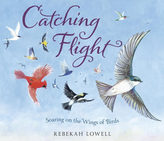 Catching Flight Soaring on the Wings of Birds