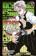 Demon slayer. Kimetsu no yaiba