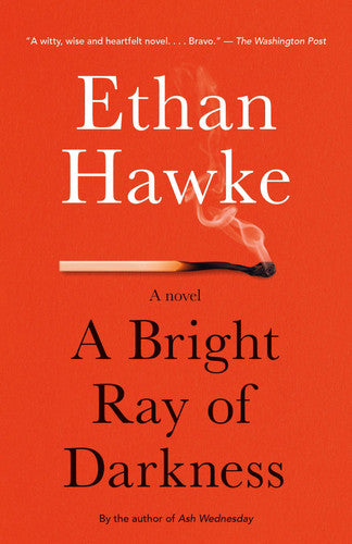 A Bright Ray of Darkness A novel