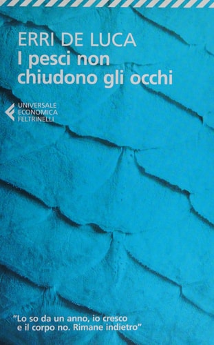 I pesci non chiudono gli occhi