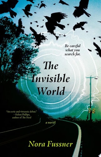 The Invisible World A Novel